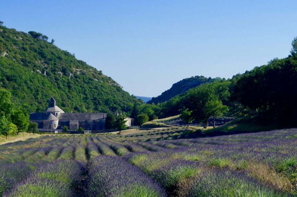 Provence Bucket List