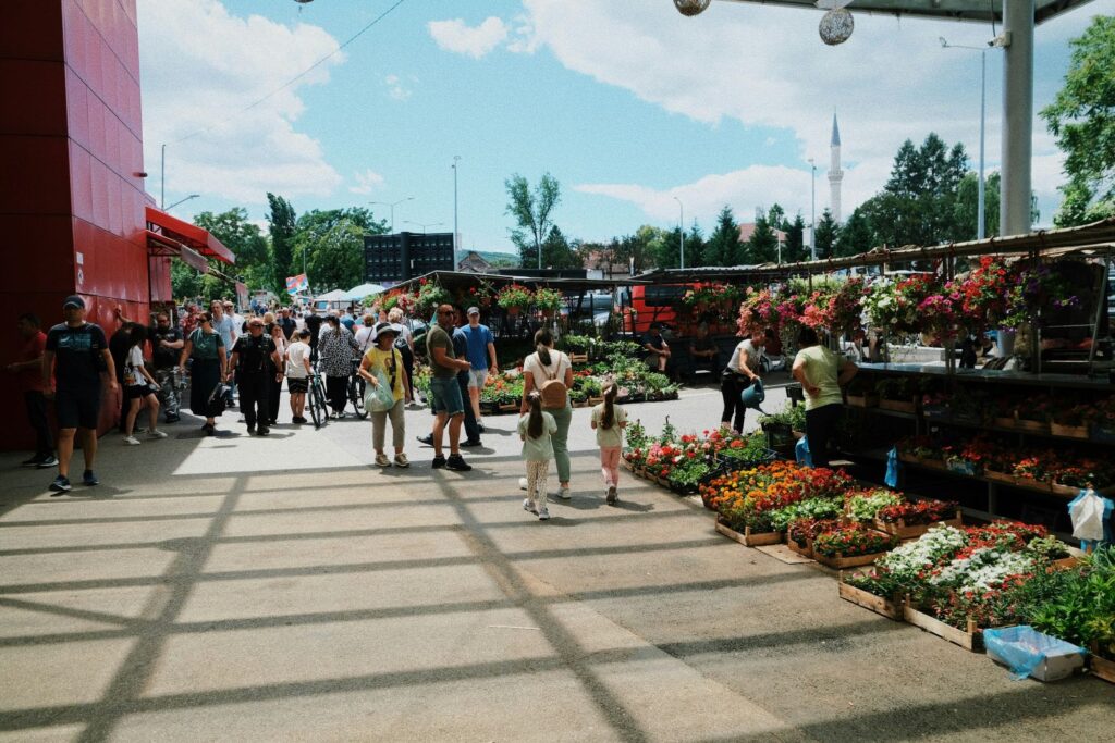 Basque culinary journey