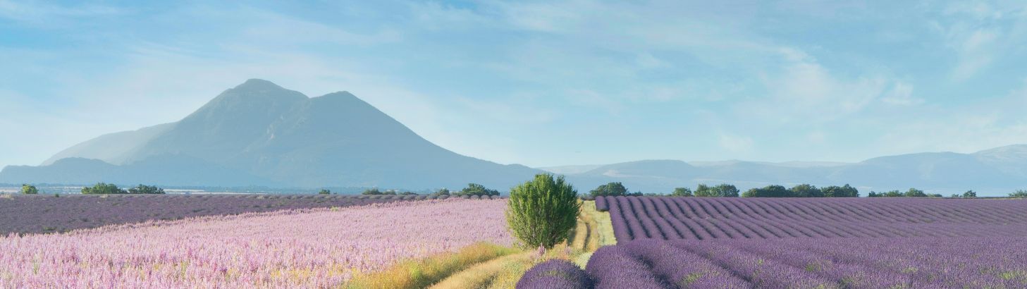 The Ultimate Bucket List Provence Experience Guide