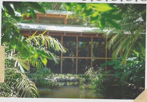 Harmony hotel