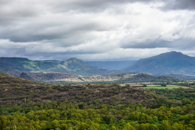 Hanalei Valley overlook