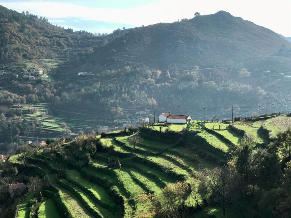 Douro Valley wine tour