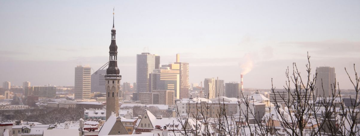 Tallinn Cultural Experiences That Will Surprise You