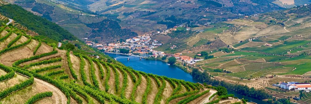 Douro Valley wine tour