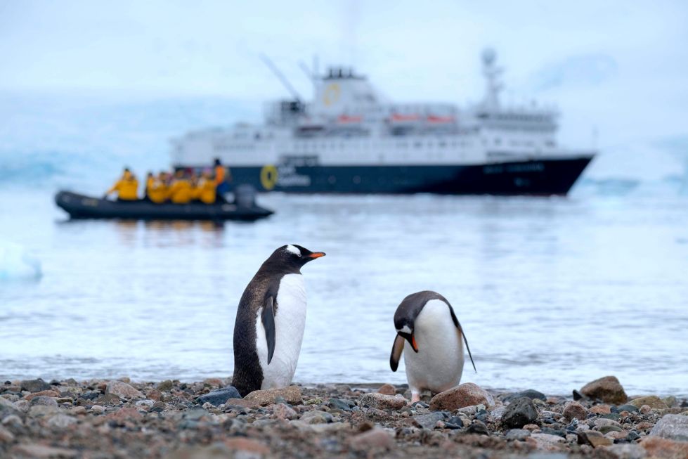 Luxury Antarctic cruise