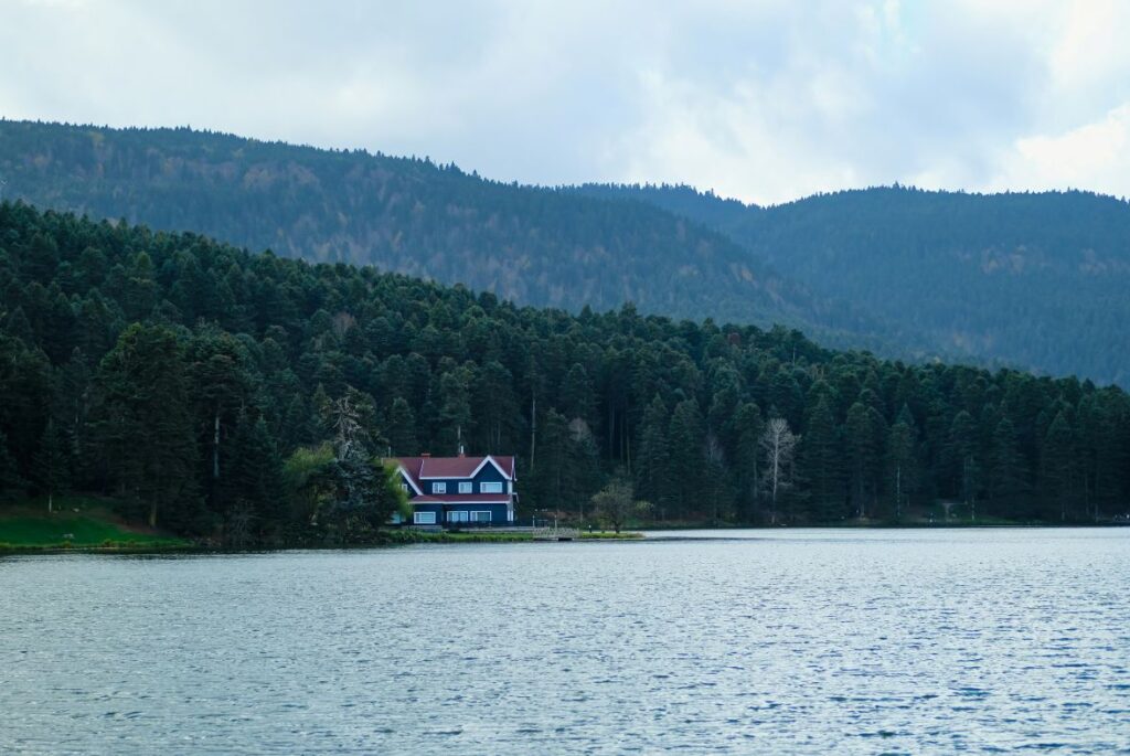 Jasper lodge lake view