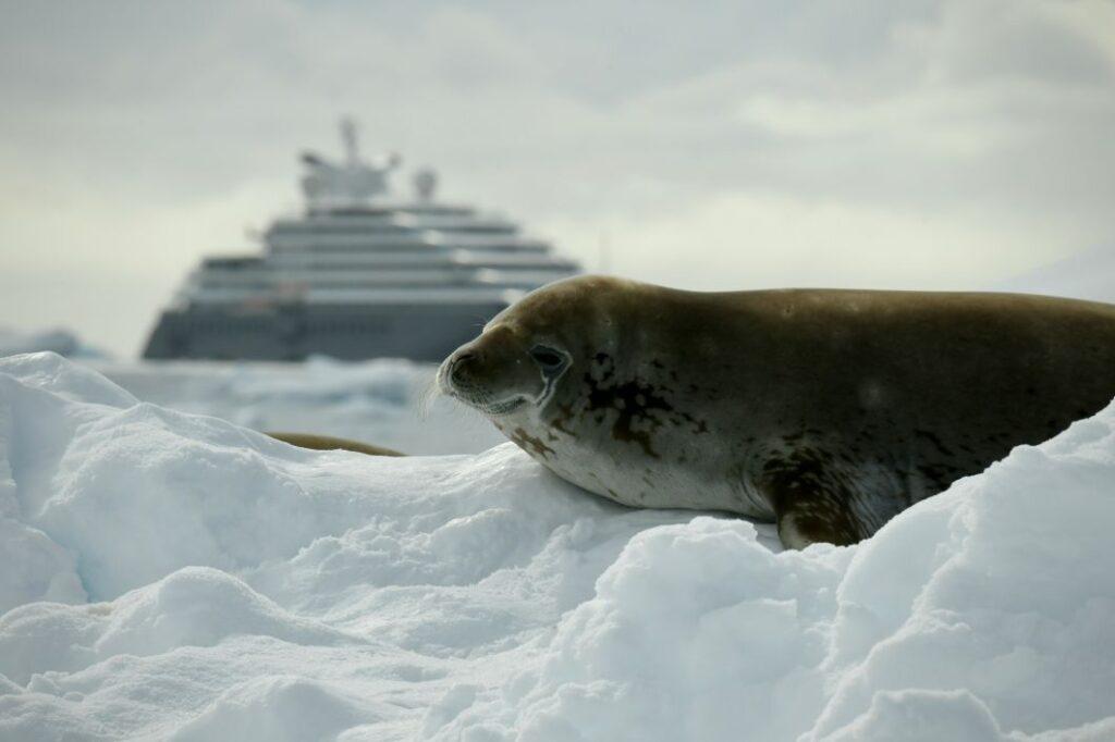 luxury Antarctica cruise