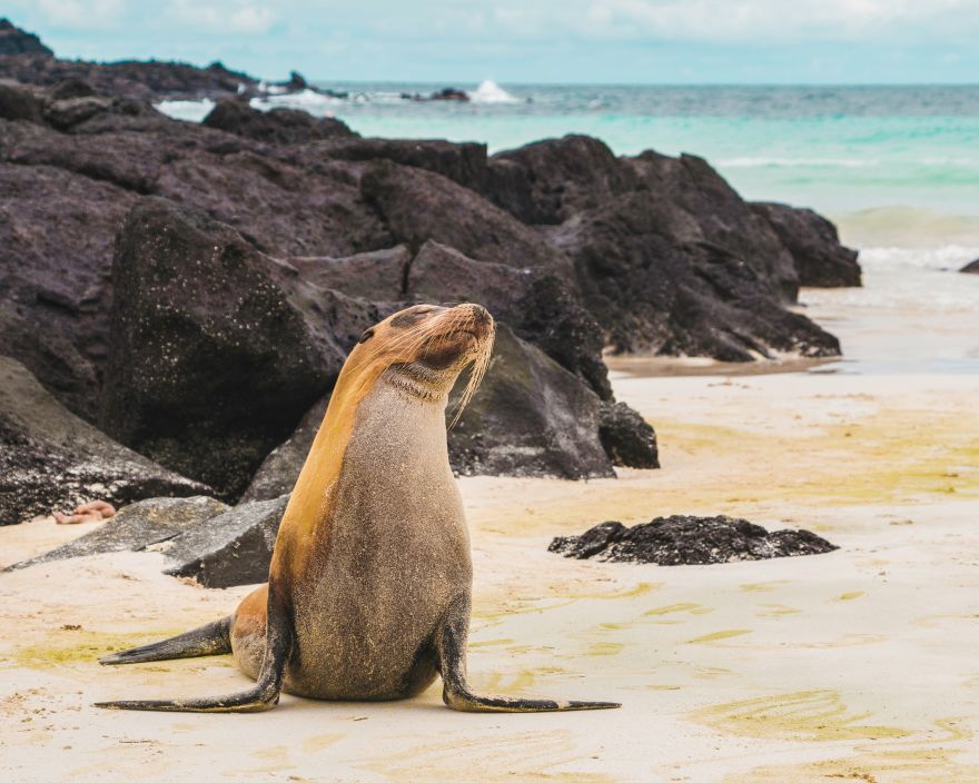 luxury galapagos cruise