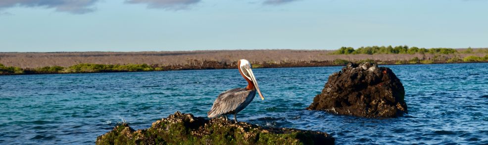 Luxury Galápagos cruise