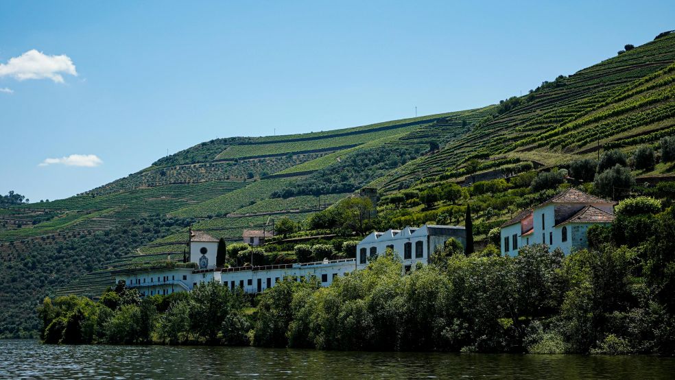 Douro River with vineyard hillsides in Portugal