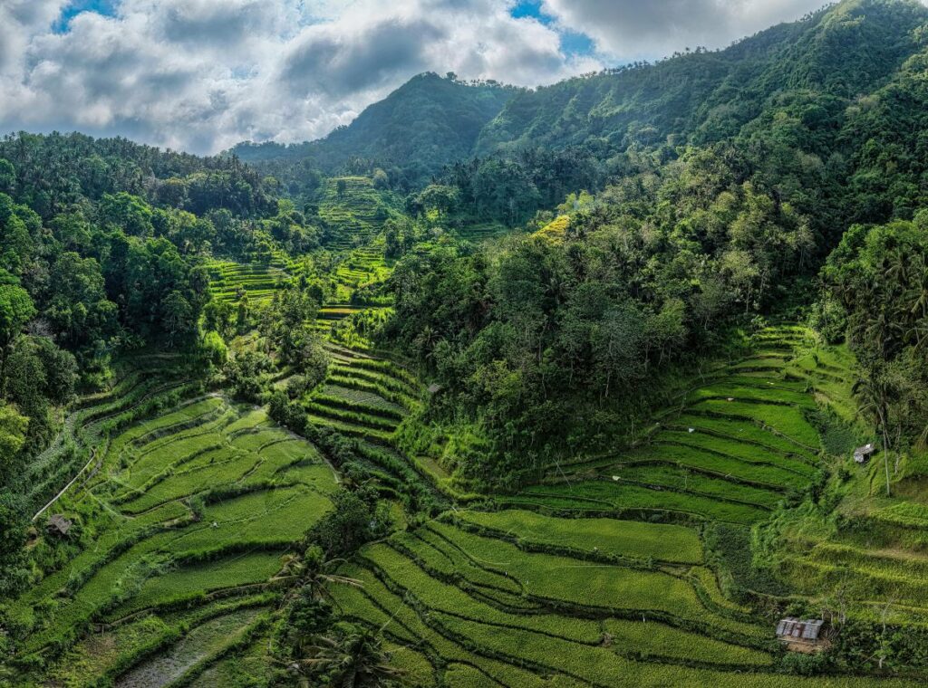 bali rice terrace couple scenic