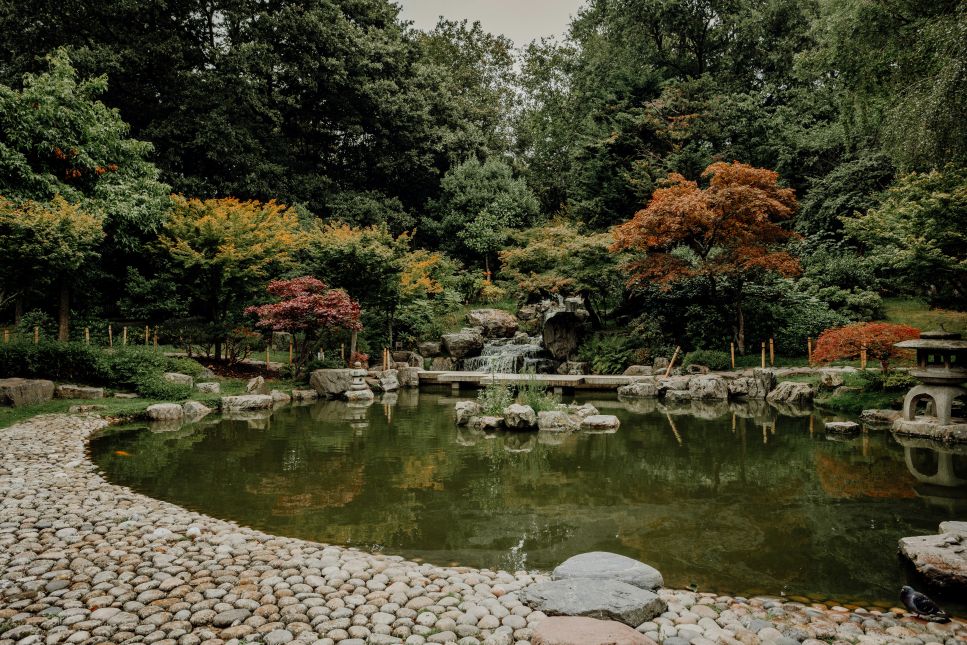 Kyoto garden
