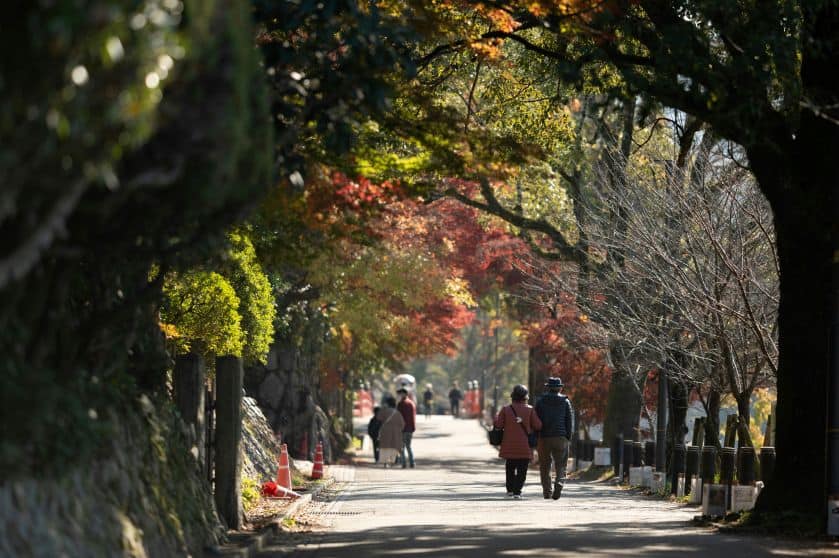 Kyoto couple walking park