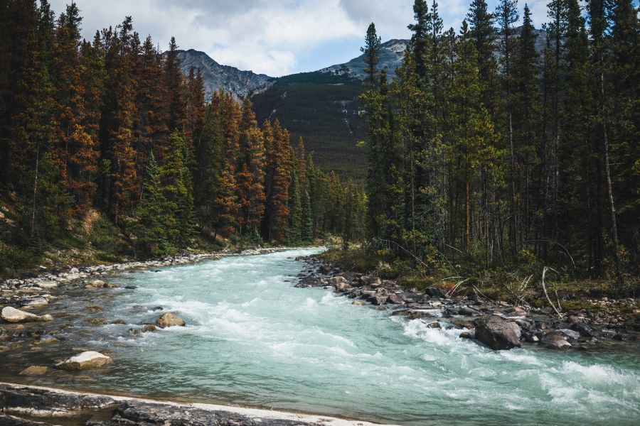 comparing Banff and Jasper for a Canadian Rockies getaway