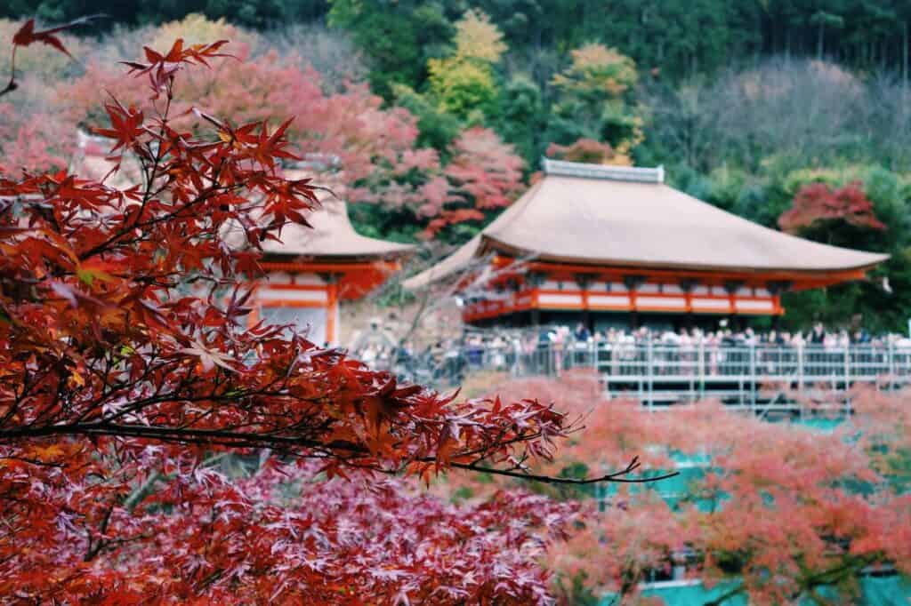 Kyoto fall foliage