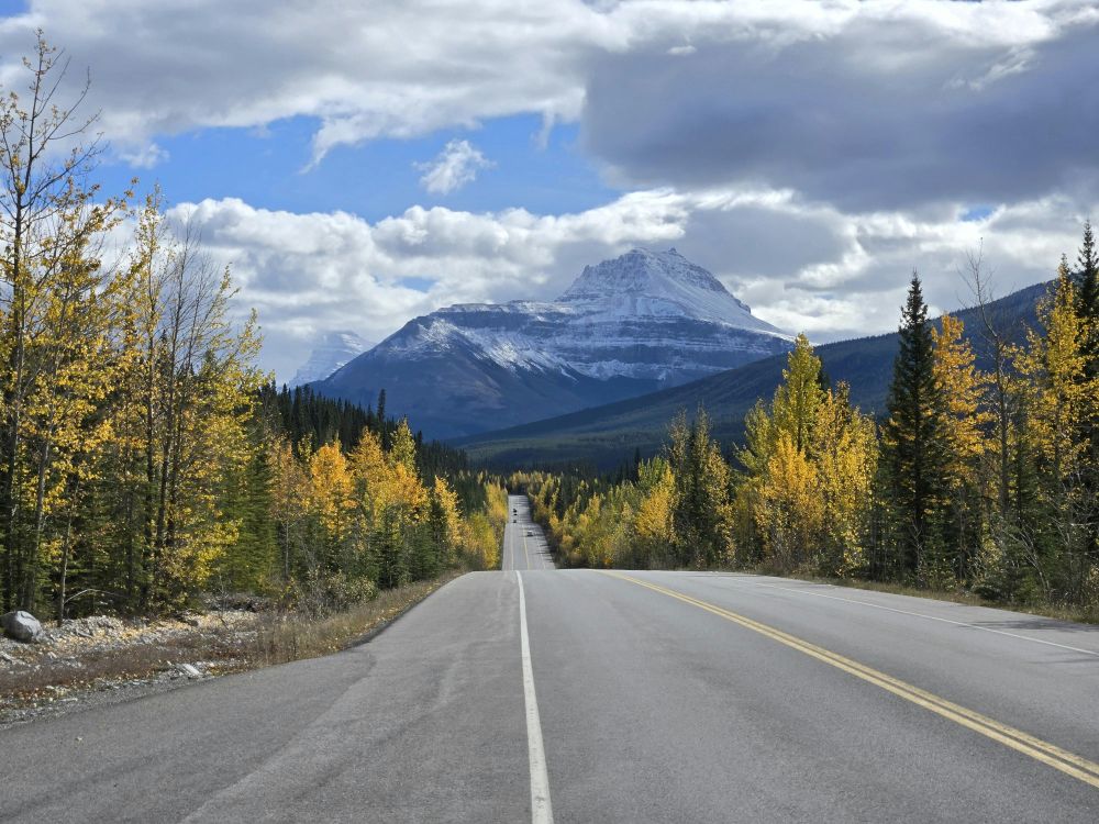 Iceland Parkway