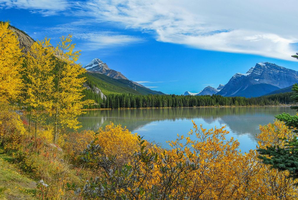 canadian rockies fall lake couple