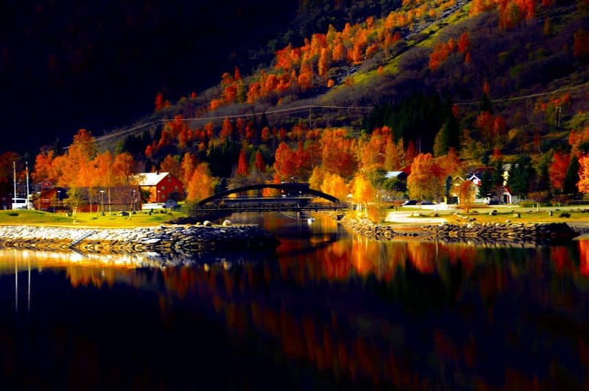 Autumn colors surrounding a peaceful Norwegian fjord in fall