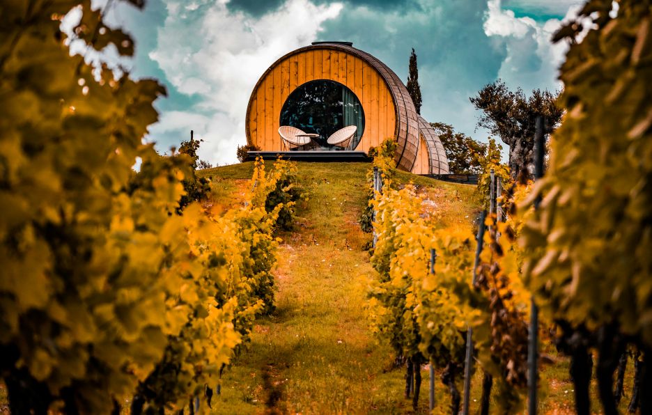 Porto, the Douro Valley