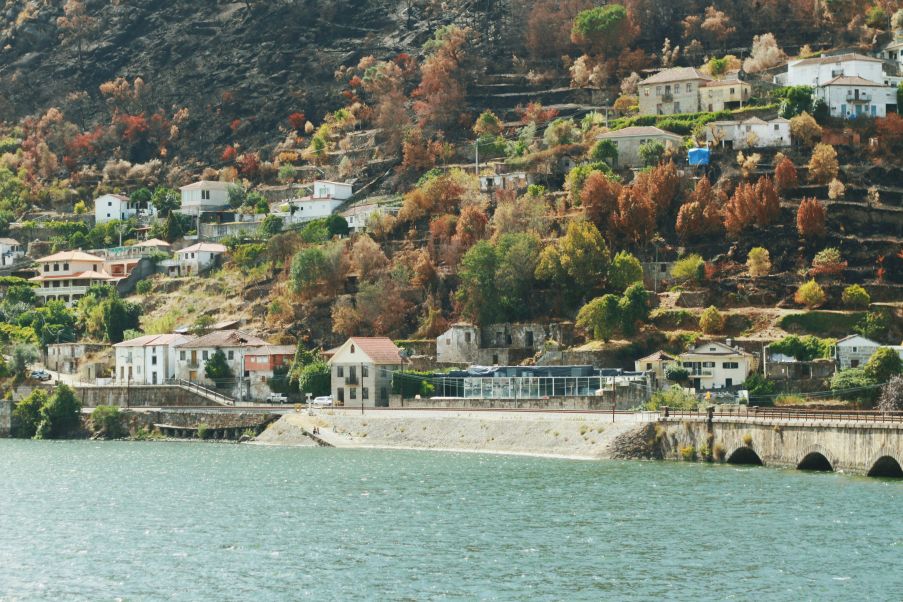 Douro or Danube cruise 