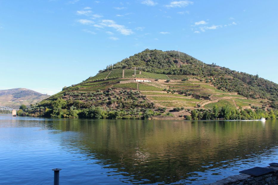 Portugal golden cliffs