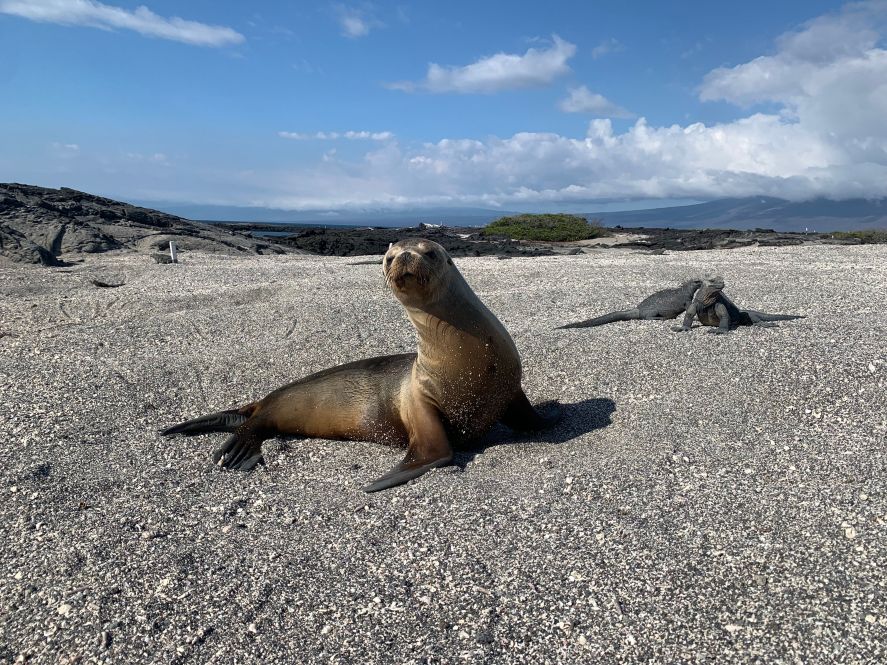 Galápagos archipelago