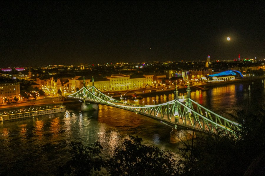 Danube vineyard river view