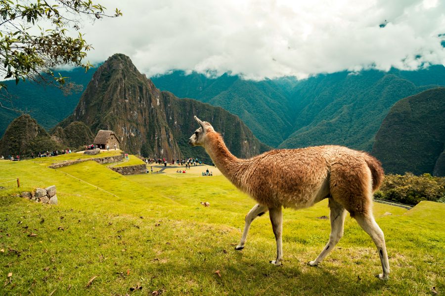Peru altitude acclimatization travel