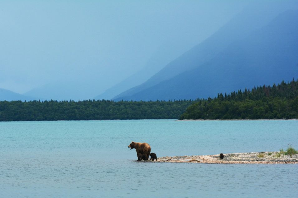 family planning Alaska cruise