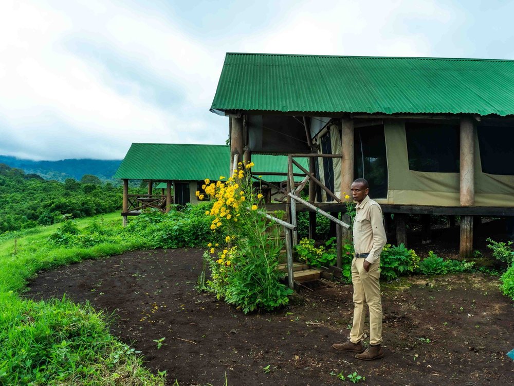 How to Choose the Right Safari Lodge and Game-Drive Experience