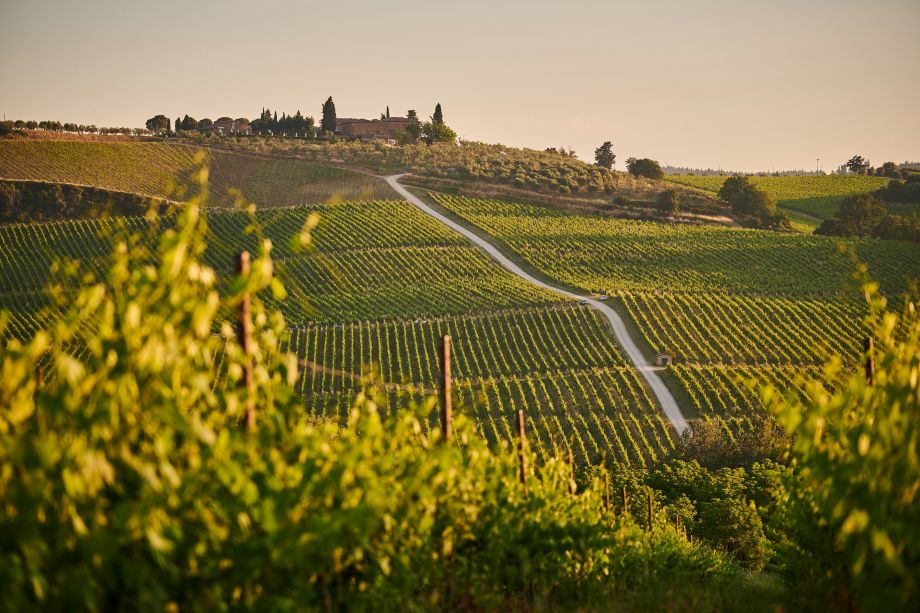 The Same Month Feels Different Across Tuscany