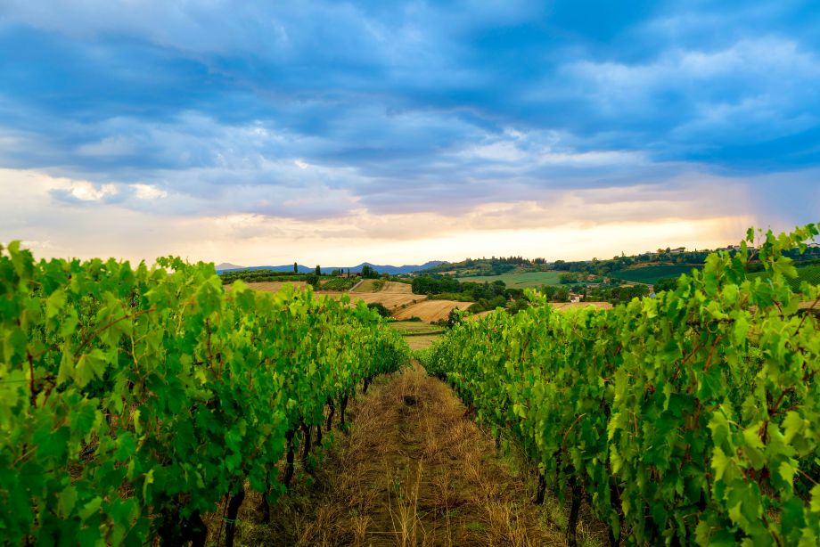 Stay in Val d’Orcia If the Landscape Is Part of Why You Are Going