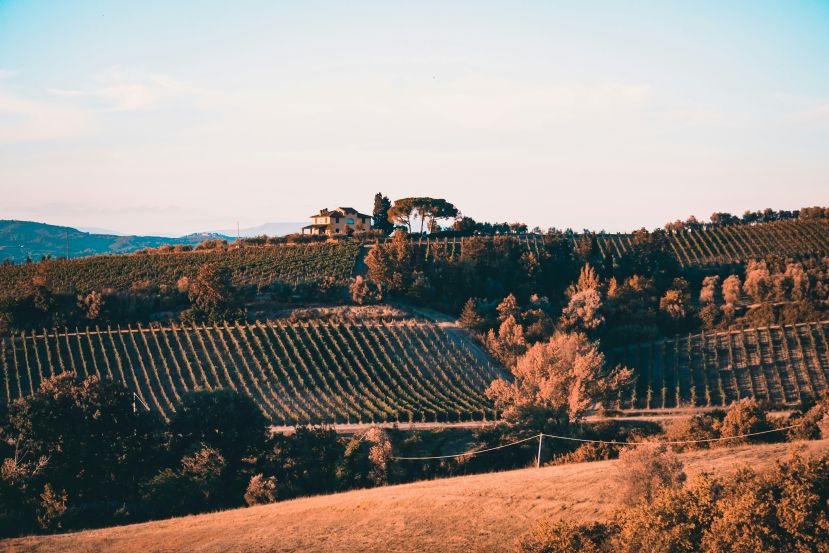 Day 6: Choose Montalcino or Montepulciano, Not Both