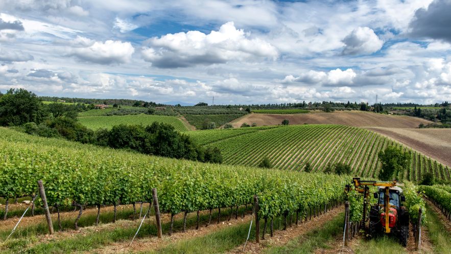 Where We Would Stay for a Relaxed Week in Tuscany